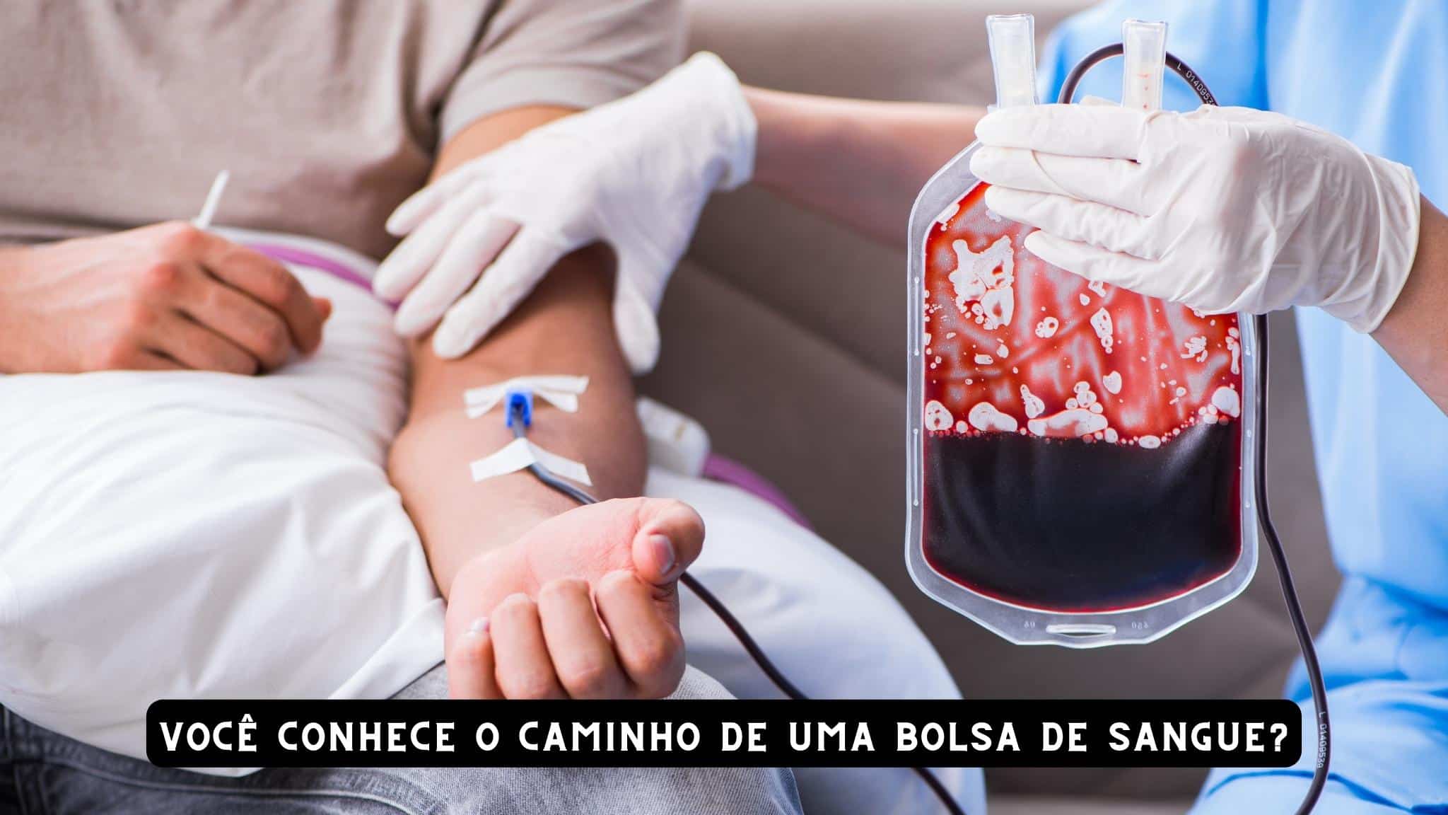 Você conhece o caminho de uma bolsa de sangue? - Dicas da Dra Tânia