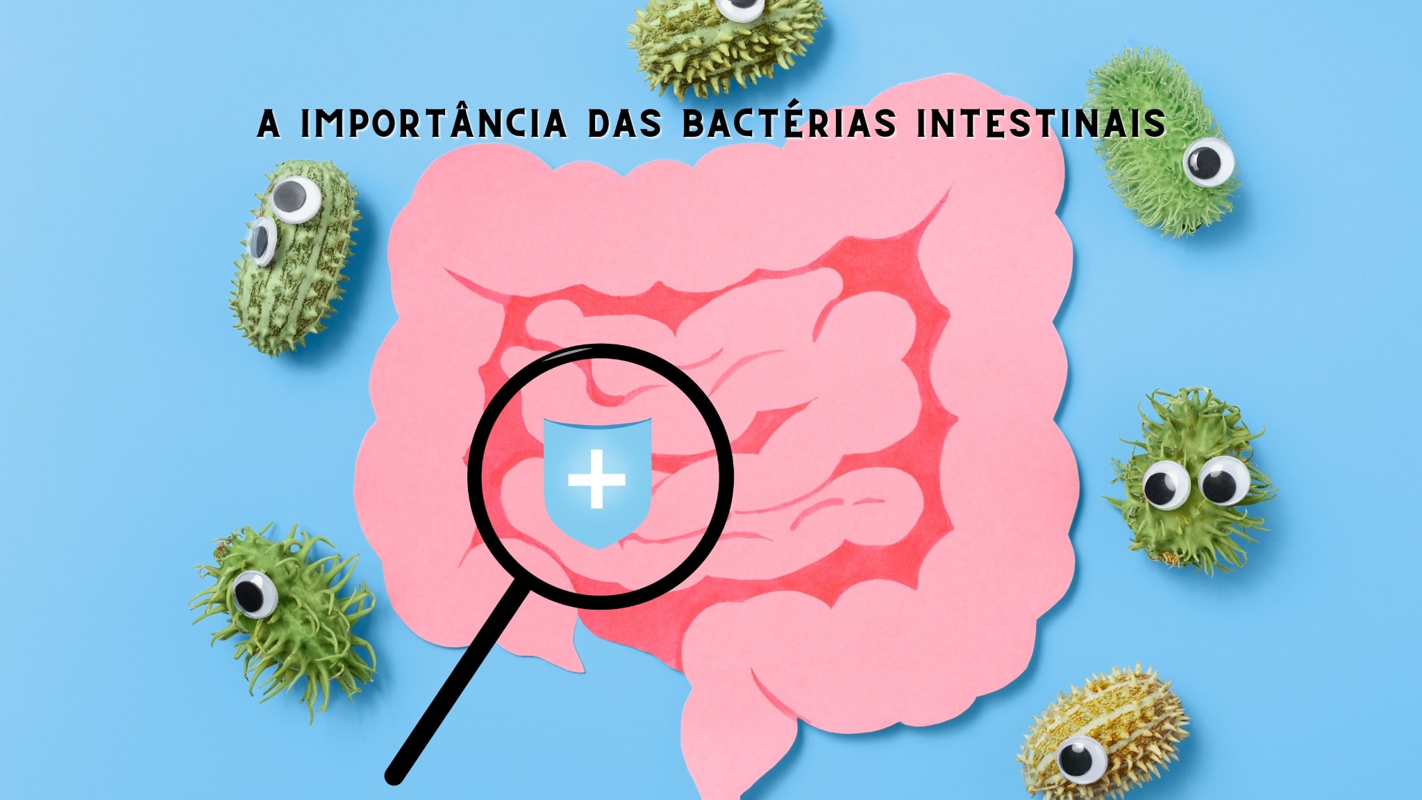 A Importância das Bactérias Intestinais - Dicas da Dra Tânia
